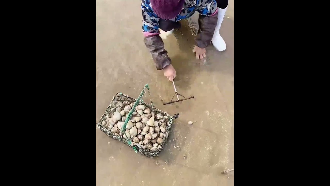Seaside Scavenger Hunt: Explore the Wonders of Coastal Foraging with Stunning Woman!