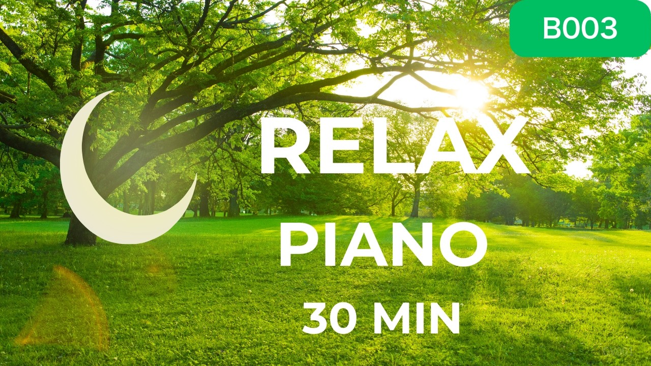 Relaxing Piano Background Music | 30 Minutes | B003