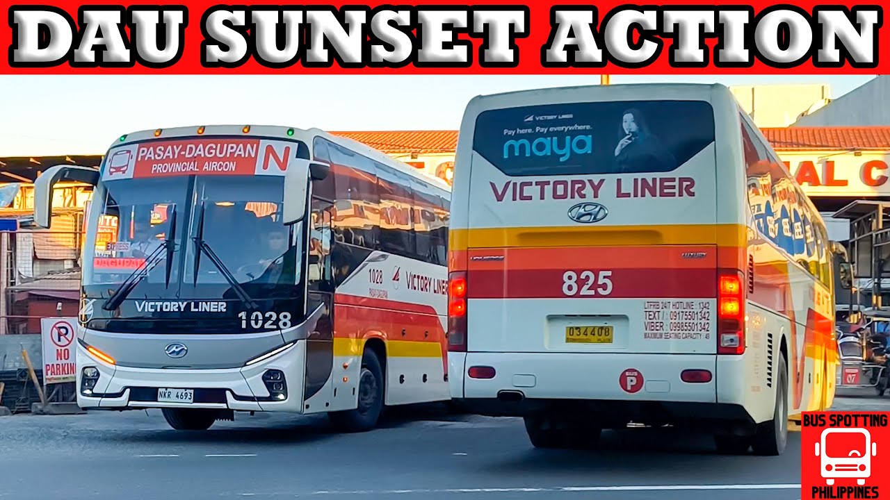 DAU BUS TERMINAL SUNSET ACTION