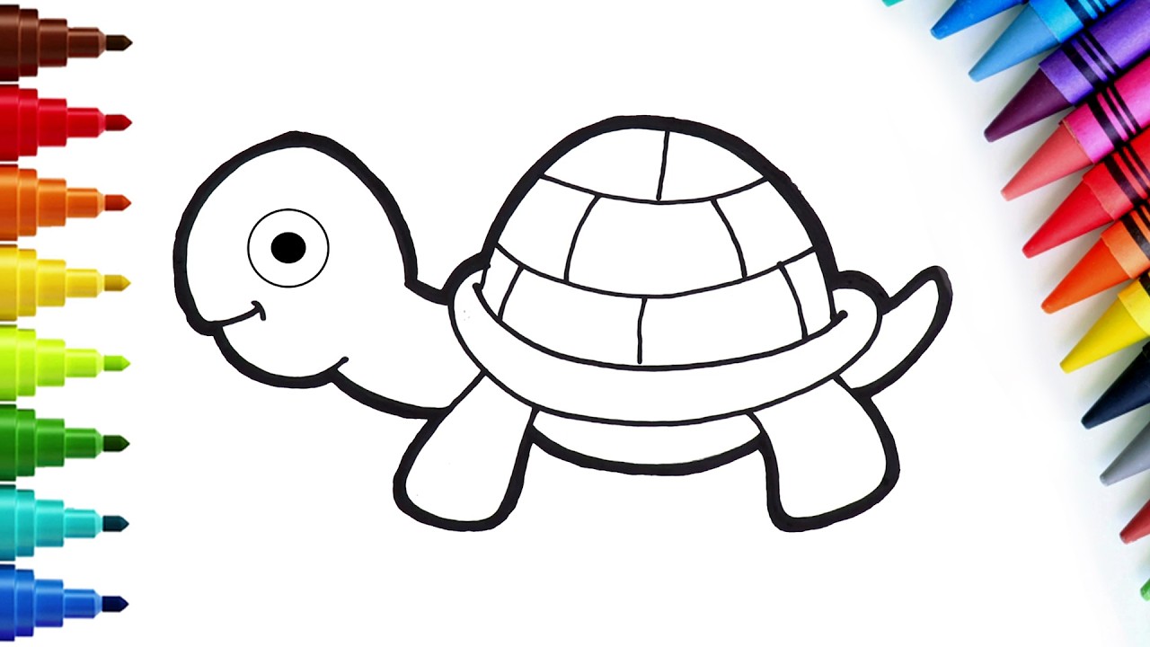 Aprender a Desenhar Tartarugas 🐢  | Desenhar Animais | Desenho Fácil | Chiki Art Brazil