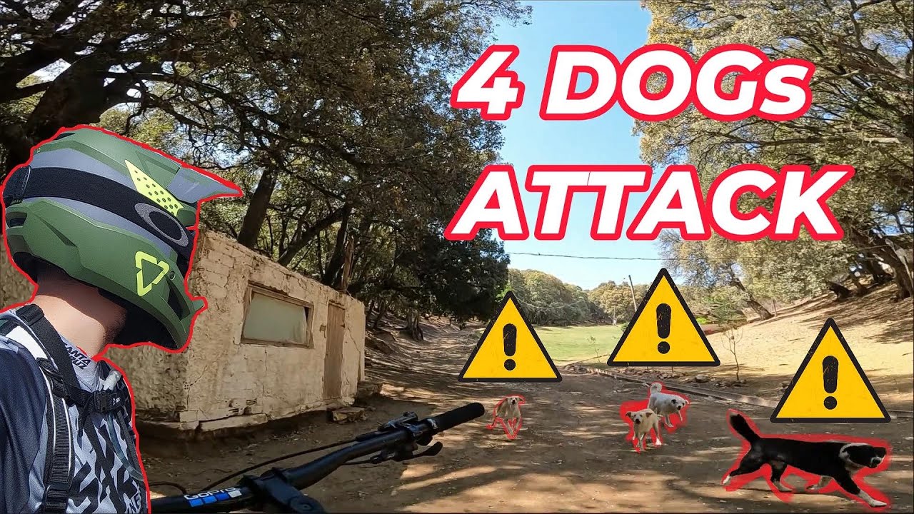 Azrou VTT/MTB 🐶 🐕أزرو... حاصرتني الكلاب