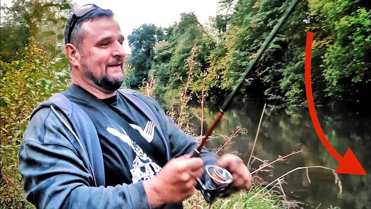 RIESIGER Fisch in kleinem ULTRA flachen Bach!