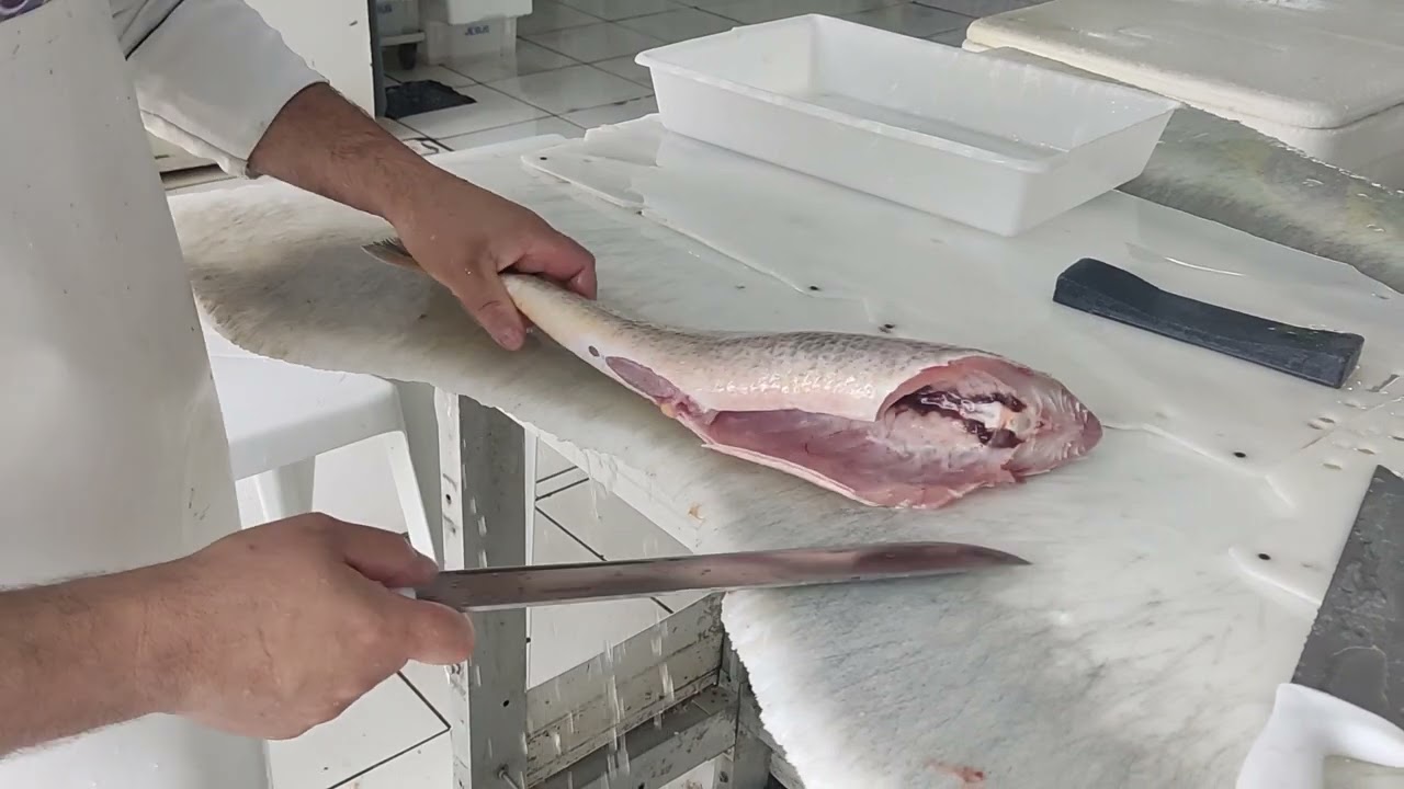 Filé de Corvina do Sul