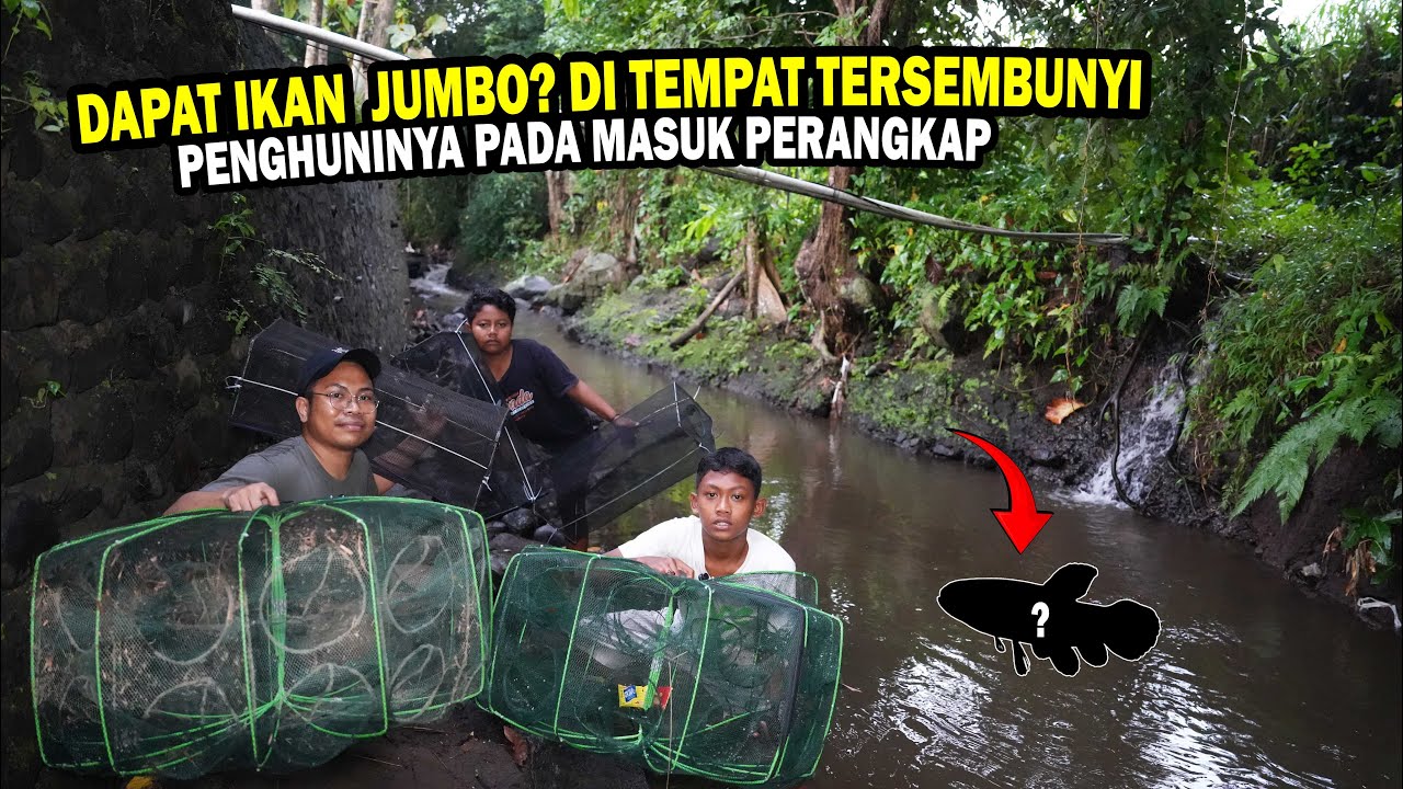 AKHIRNYA MASUK IKAN JUMBO? 4 JAM LEPAS PERANGKAP JARING BERSAMA BOCIL PETUALANGAN..!!