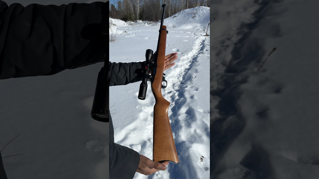 Ruger 10/22 #viral #gun #hunting