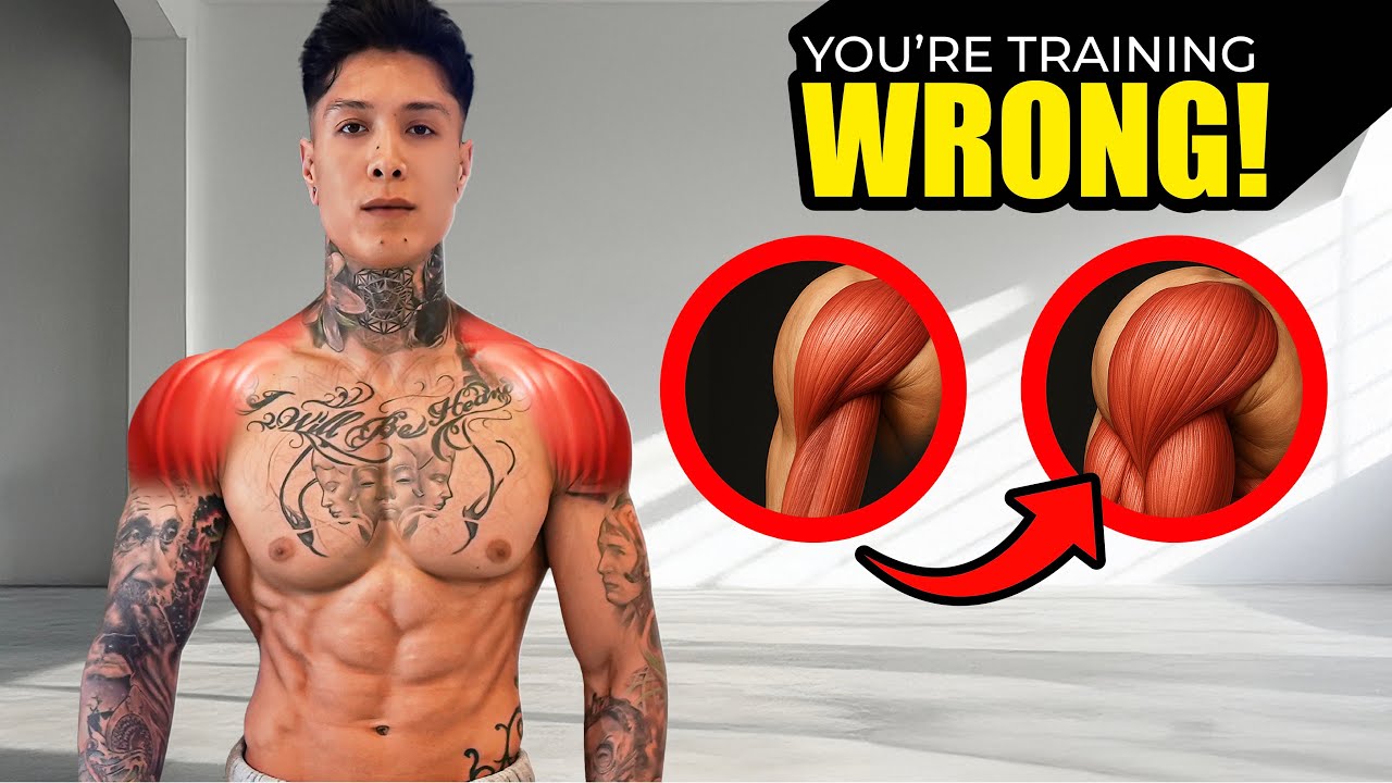 YOUR SHOULDERS NEED THESE EXERCISES FOR CALISTHENICS | STRENGTH + MUSCLE