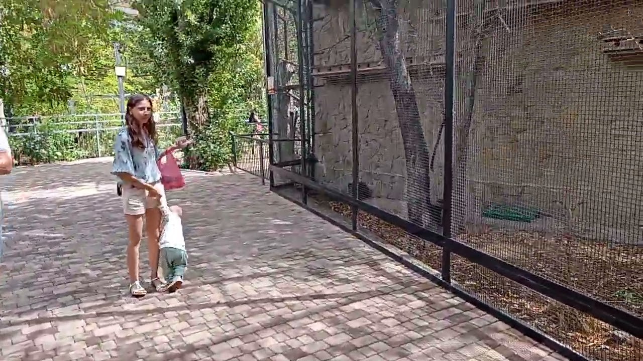 Тайган , Попугаи , Еноты ..