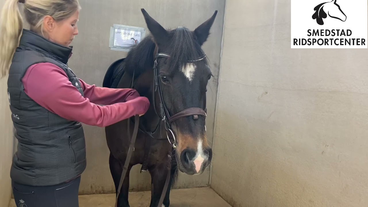 Olika hjälptyglar!