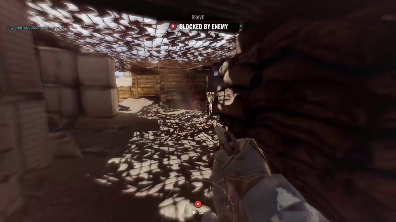 Insurgency sandstorm coop