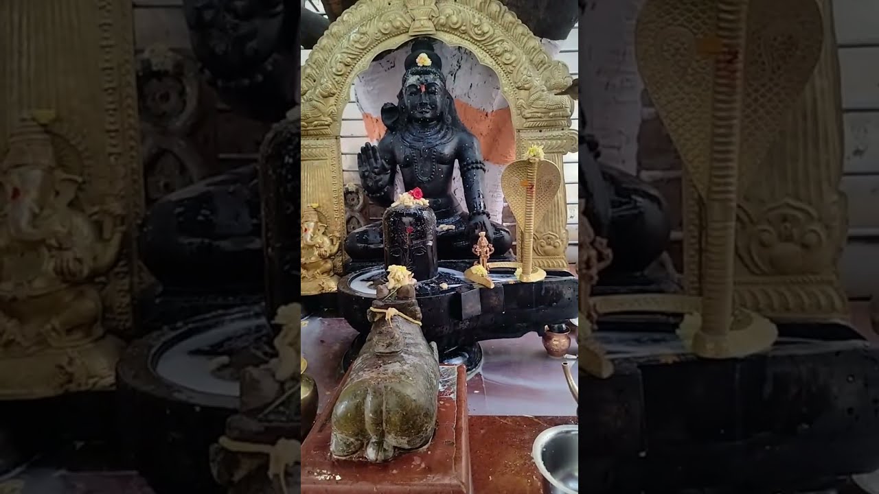 Sri Naga Lingeshwara Swamy Rudra Abhishekam Live Puja 🕉 | Basma Abhishekam 🙏✨ | Pradhosha Puja 🙏✨