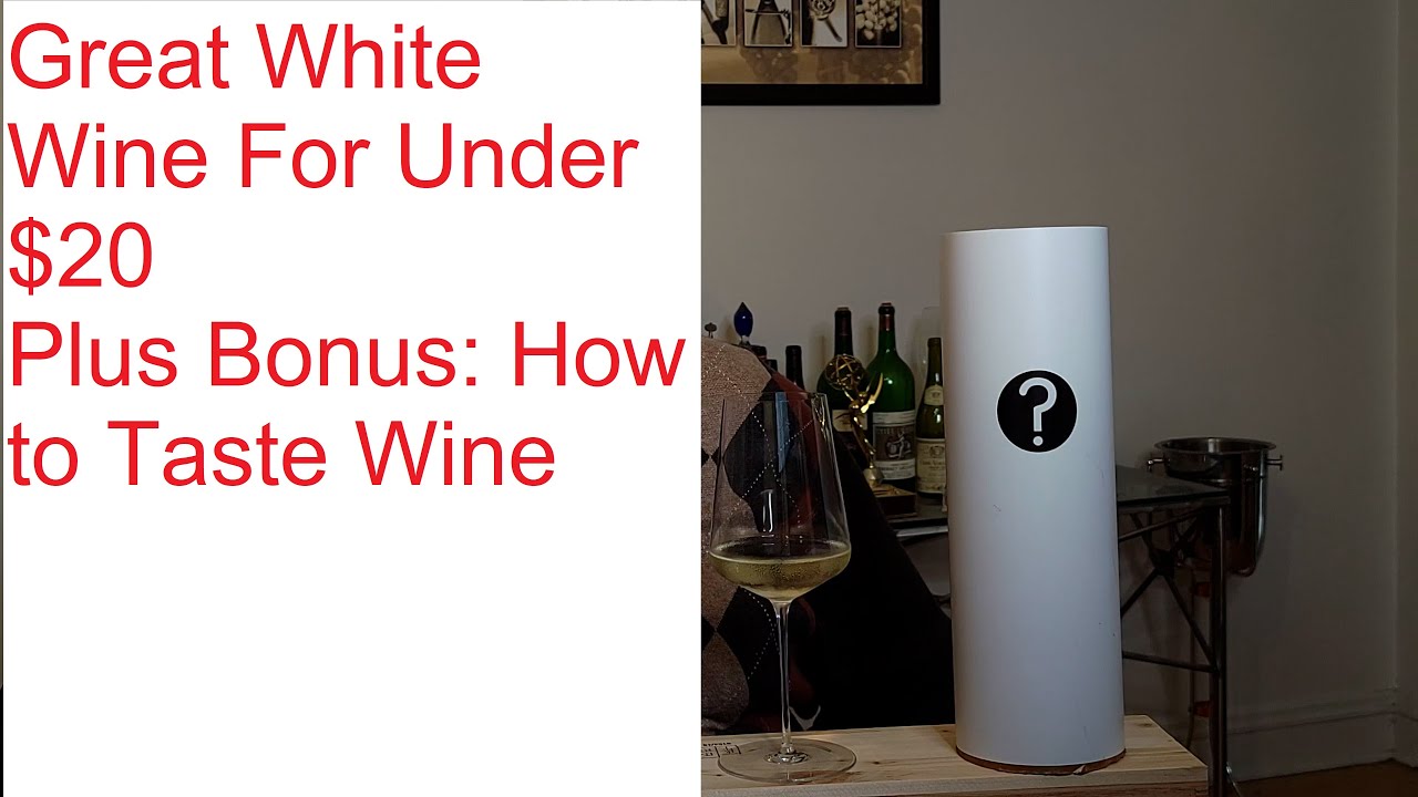 Is This The World's Best White Wine Under $20, Plus Wine 101: How To Taste Wine Bonus Lesson