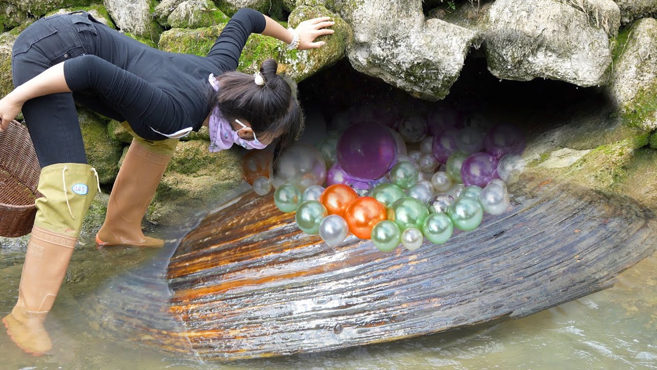 💎 Mutant Clam Mania: How One Girl’s Find Turned a Small Town’s Peace into Chaos