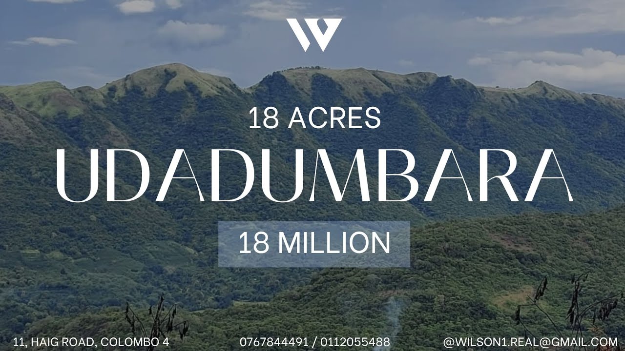 UDADUMBARA 📍⛰