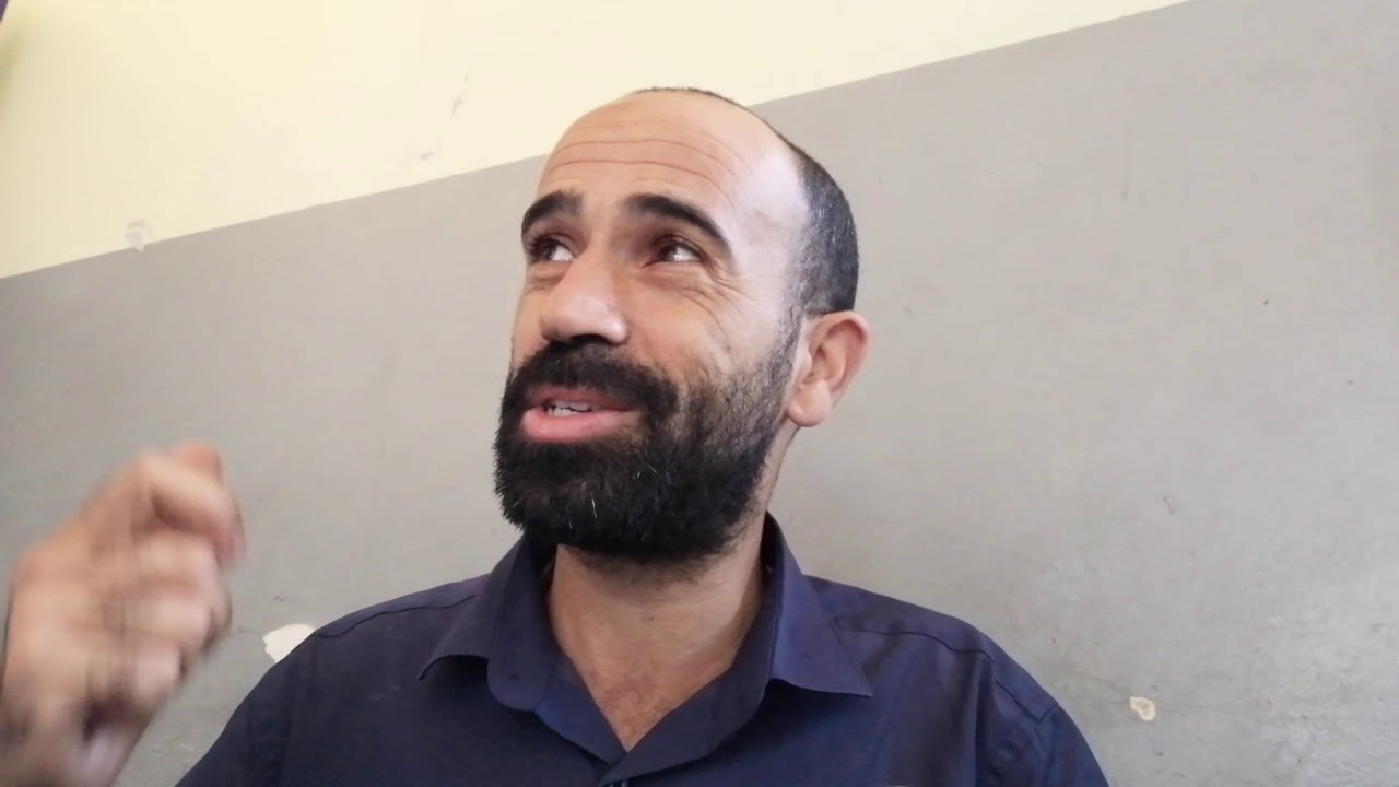 هل الوقت مناسب لعلاج الفاروا ؟ ما هي الاجراءات اللازم اتخاذها ؟ varroa destructor traitement