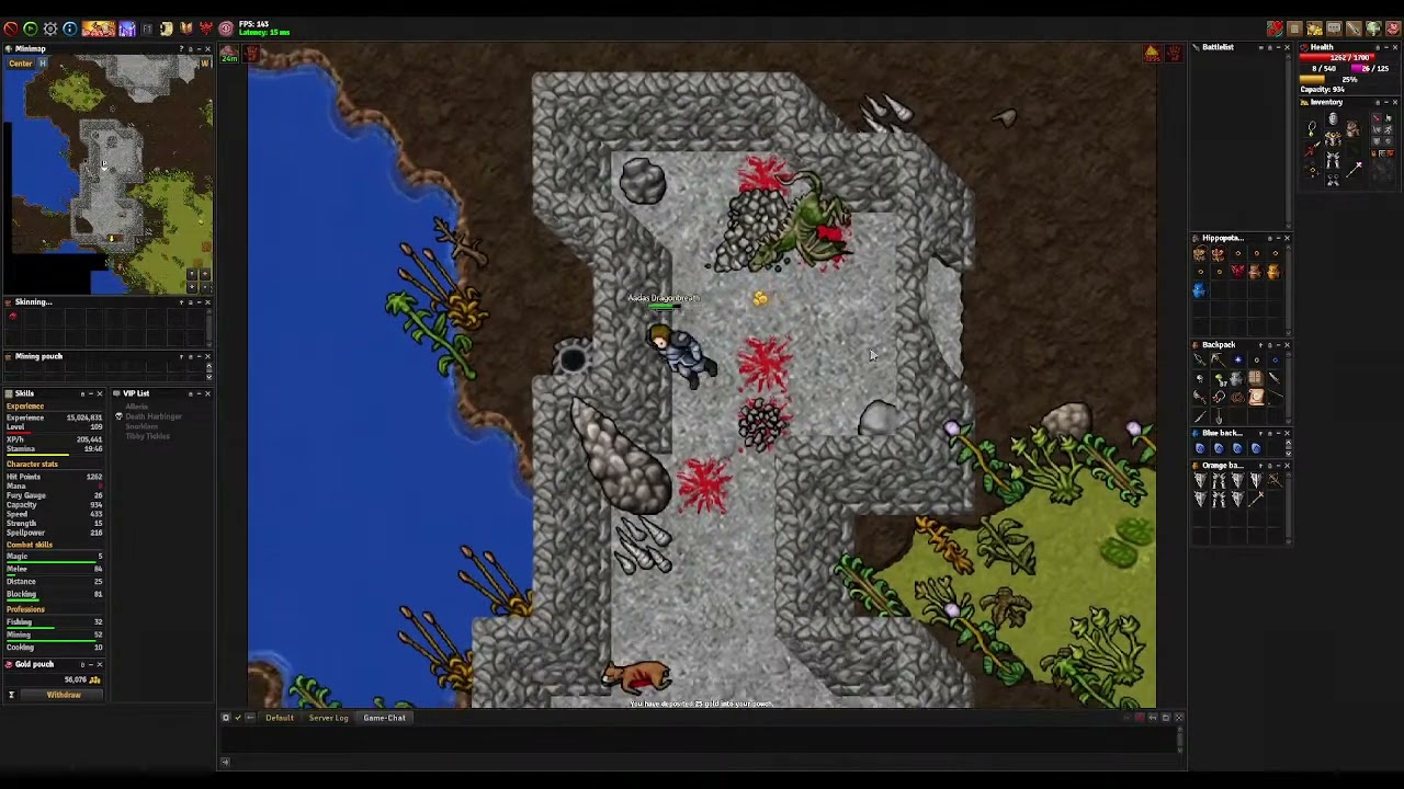 Medivia - Dragon Lair Northern Arak