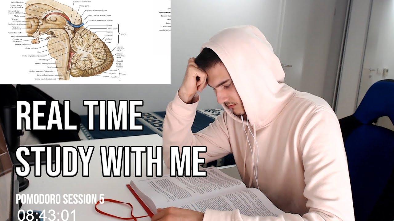 REAL-TIME Study With Me : 6 Hours Pomodoro Session | Loti Shaqiri