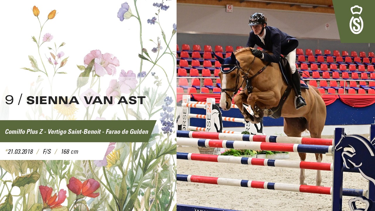 9 Sienna van Ast - 105. Elite-Auktion - 2026