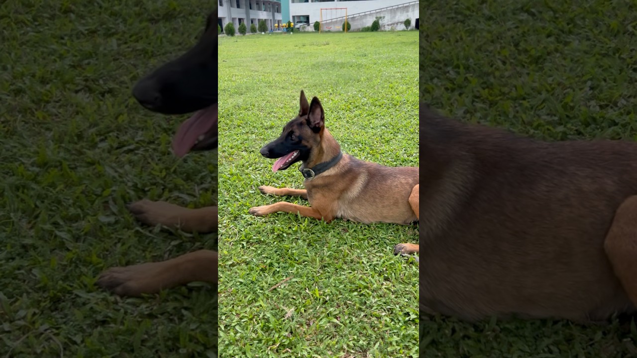 Keshari is chilling port morning workout in garden 