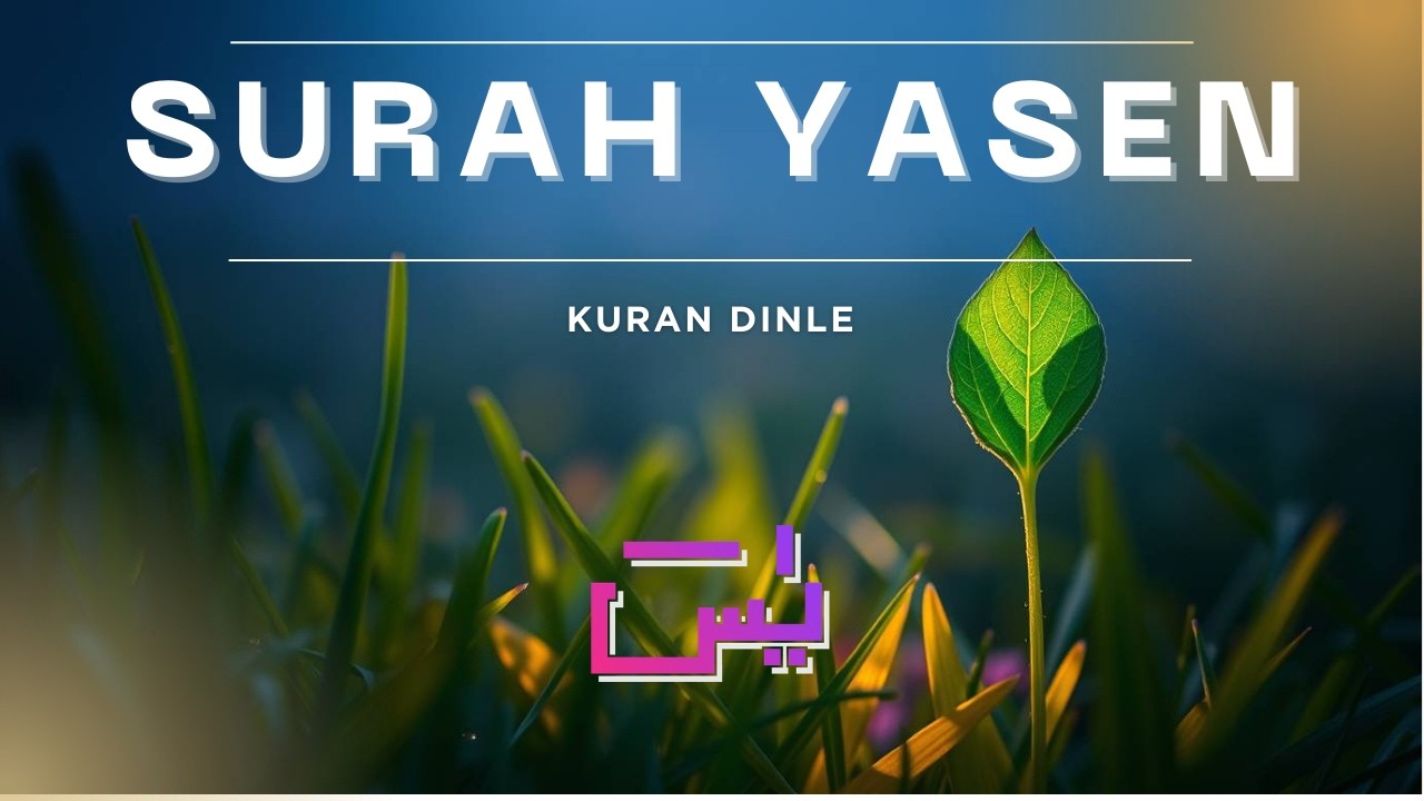 YASİN SURESİ [Kalp Şifası] - Tam Huzur ve Günah Bağışlayıcı - Eşsiz Tilavet - kuran dinle 