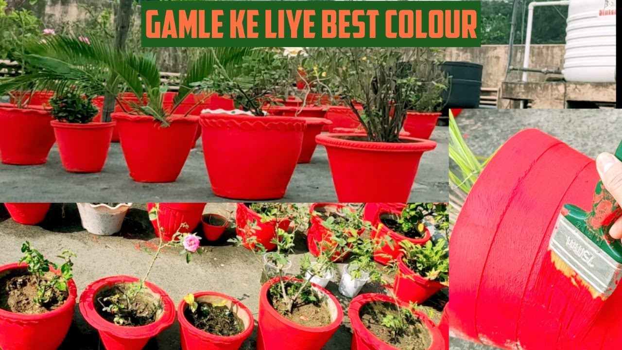 Kon sa paint acha hota h gamle ke liye jane 🥰? पेंट करने से पहले किन किन बातों का ध्यान रखना चाहिए?🤔