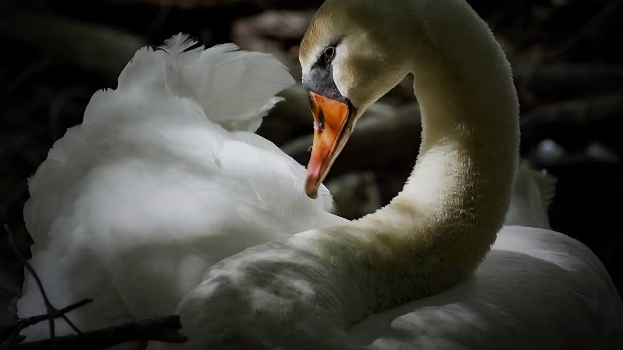 🦋🔮 რა მოულოდნელი ცვლილებები გიახლოვდებათ❓🪞🧿