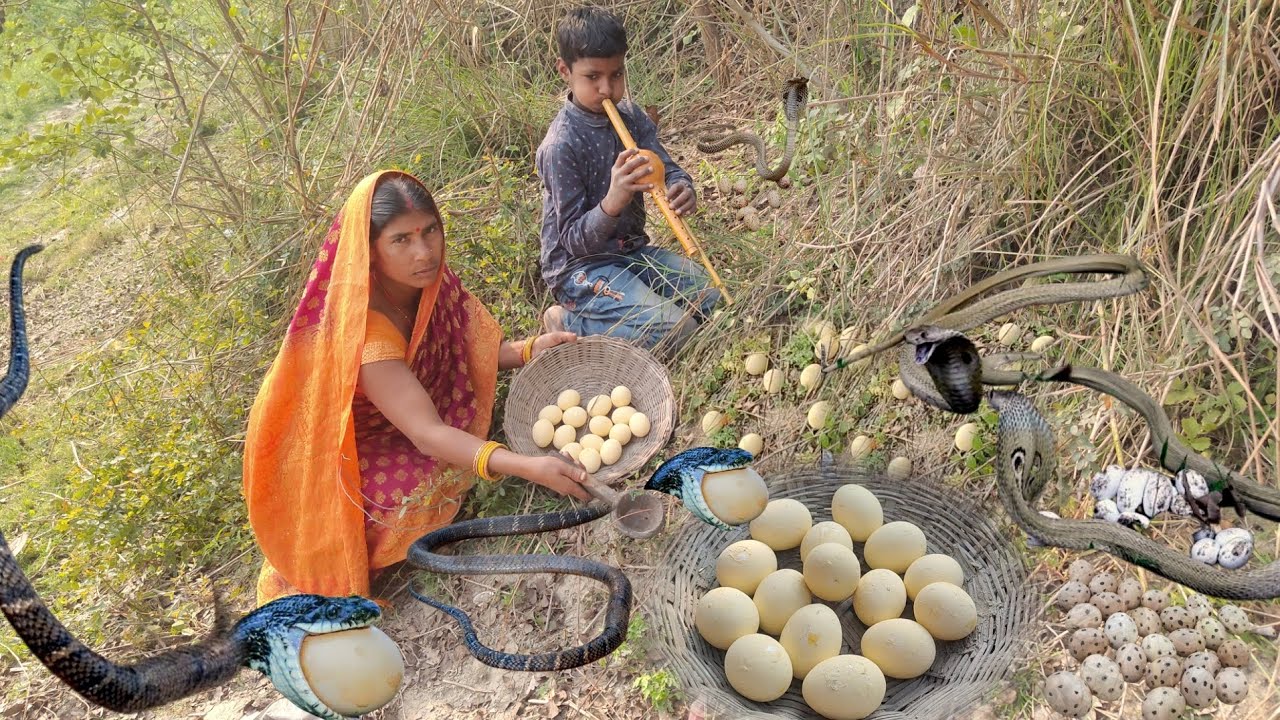 A woman with a little boy picks snake eggs in a village | snake eggs cooking and eating women