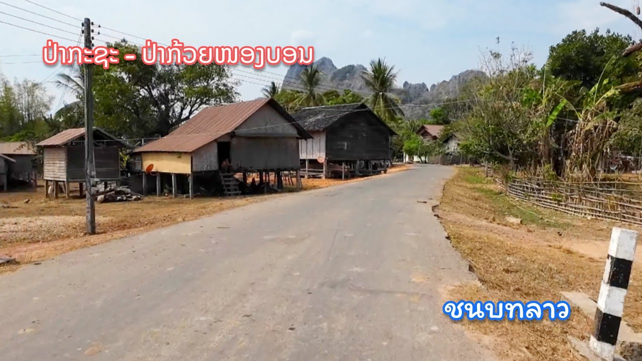 ชนบทลาว เมืองไชบัวทอง บ้านป่ากะชะ - ป่ากล้วยหนองบอน || ดินแดนคนภูไท