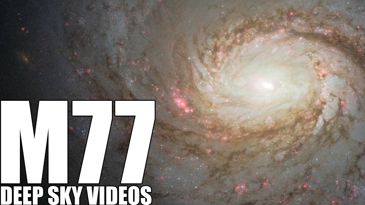 M77 - A Special Kind of Galaxy - Deep Sky Videos