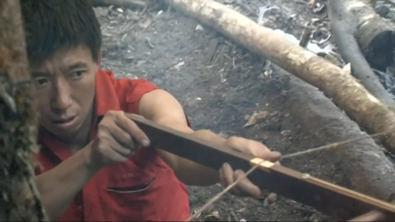Chasse à la chauve-souris dans la jungle chinoise
