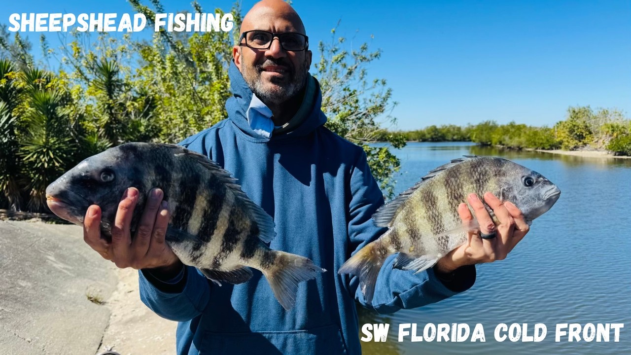 South West Florida Sheepshead Fishing.