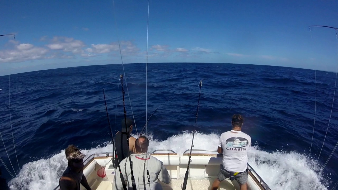 Bermagui Marlin Fishing - Head Hunter Charters