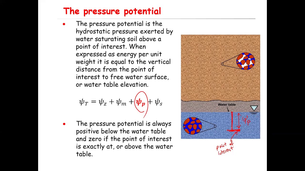 Water Potential: Matric potential, solute potential, pressure potential and gravitational potential