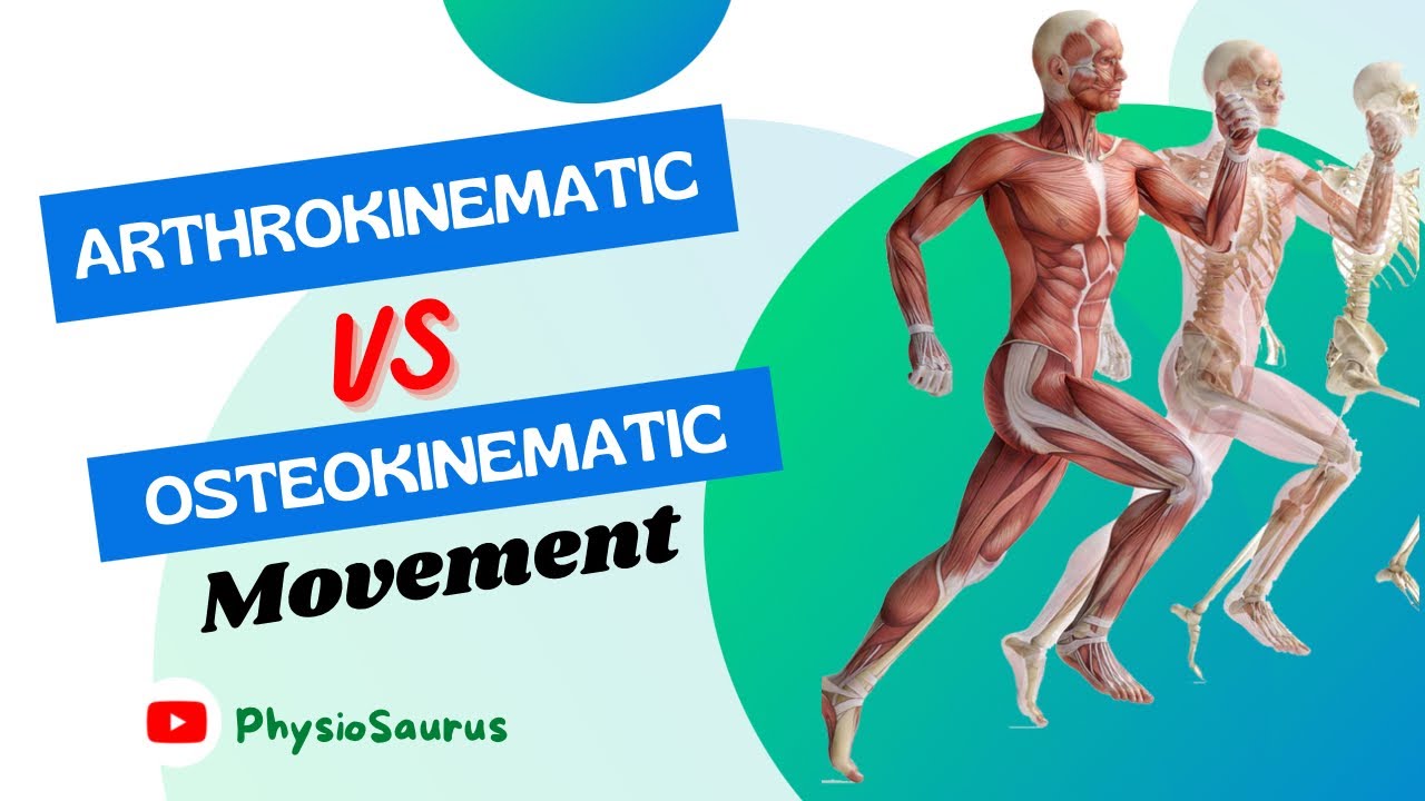 Arthrokinematic movement vs osteokinematic movement.