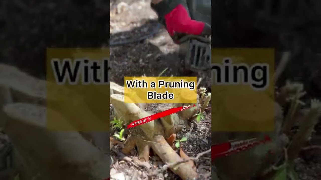Stump removal HACK💪🏼pruning blade & reciprocating saw #diy #gardening #backyard