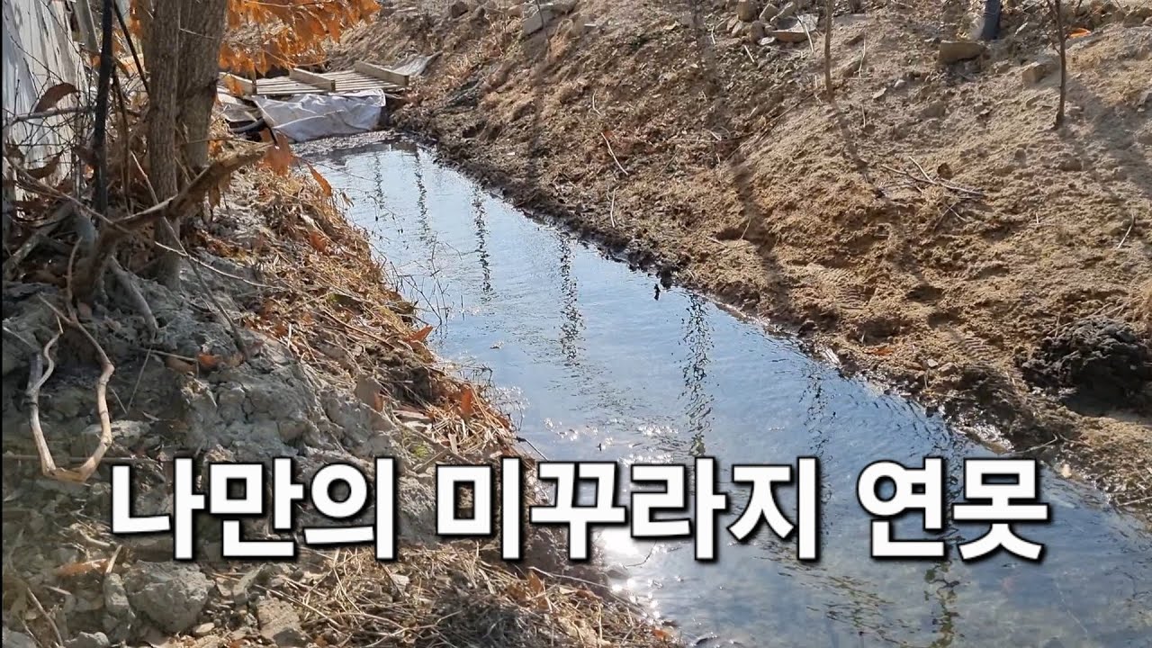 나만의 미꾸라지 연못 및 농업용수