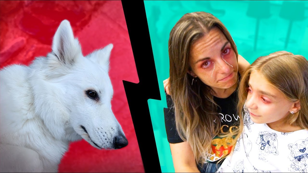 Nos tenemos que separar de alma... Itarte Vlogs