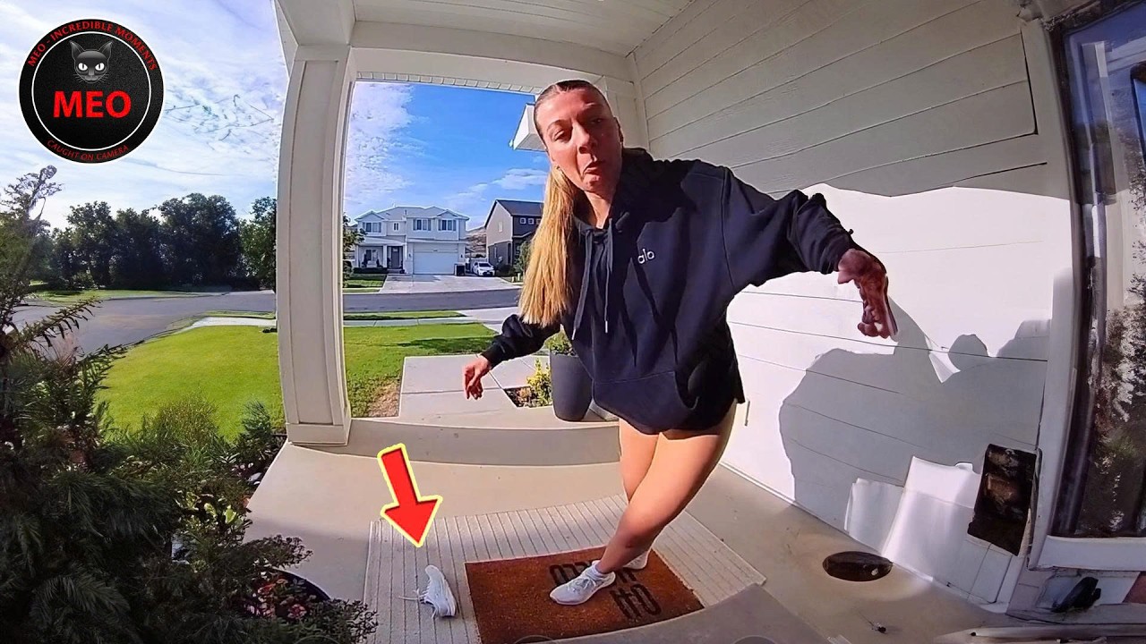 Incredible Moments Caught on Camera  (P196)