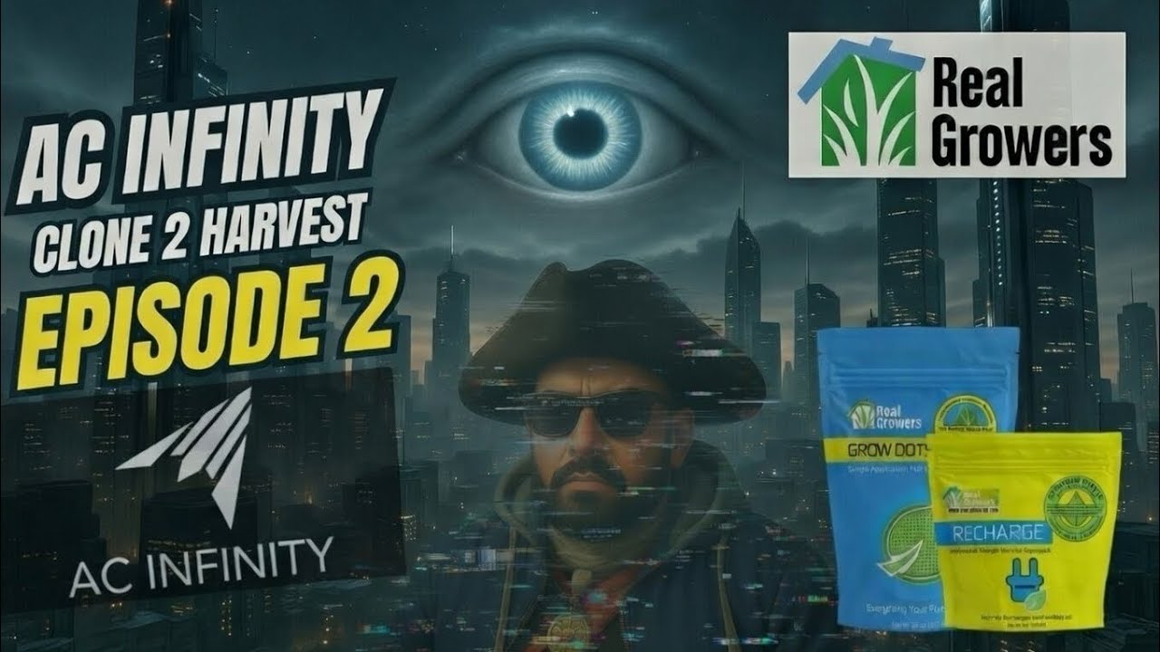 AC Infinity 2x4 Transplant Magic: Clones Root Hard! Ep.2 🪄