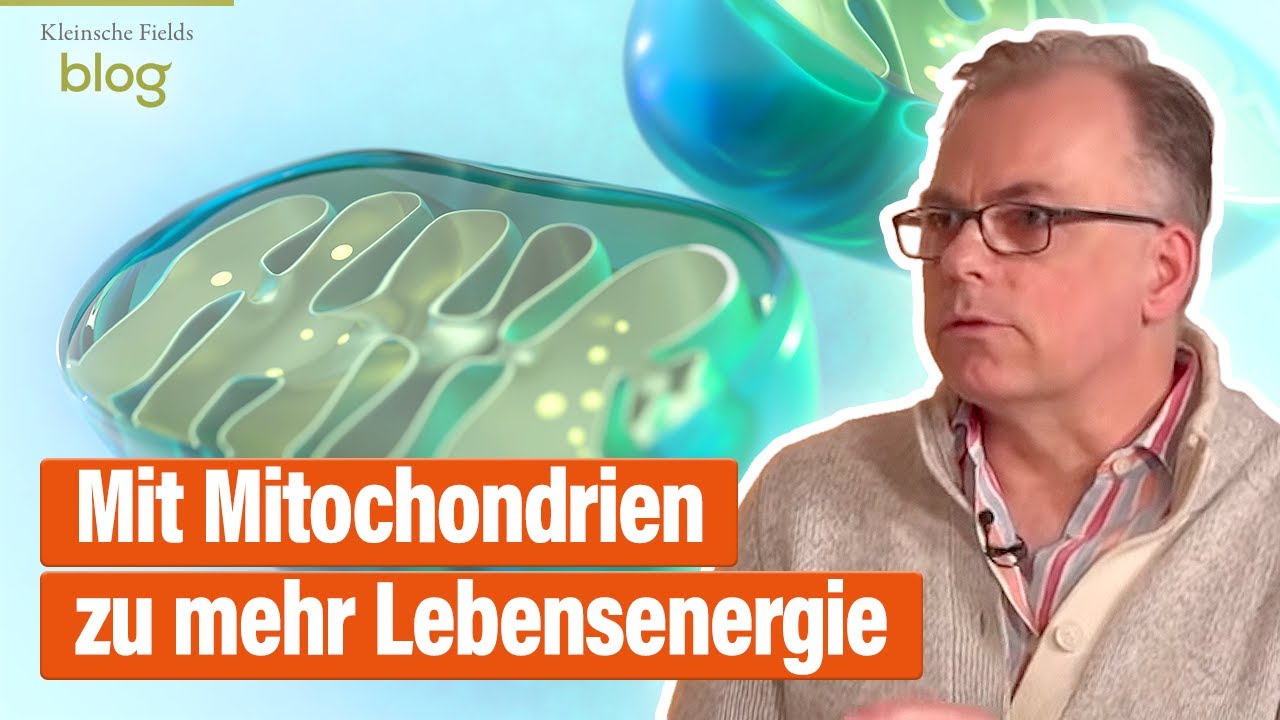 Schweizer Mediziner testet Kleinsche Felder