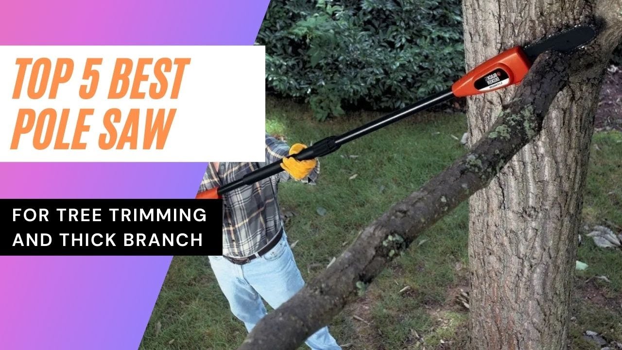 Best Pole Saw for Tree Trimming and Thick Branch in 2021