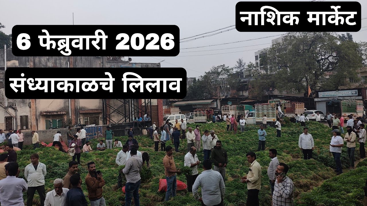 6 फेब्रुवारी 2026| संध्याकाळचे लिलाव नाशिक मार्केट | Vegetables मार्केट नाशिक rate today