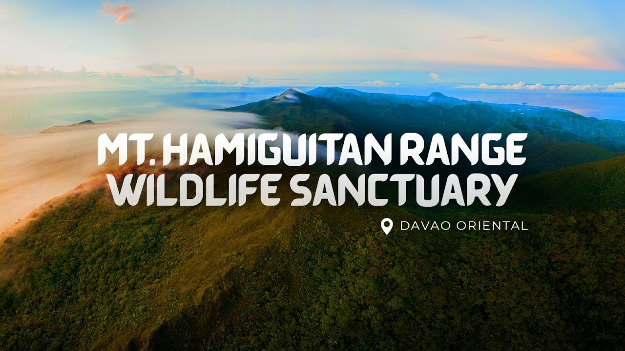 Mt. Hamiguitan Range Wildlife Sanctuary Tour