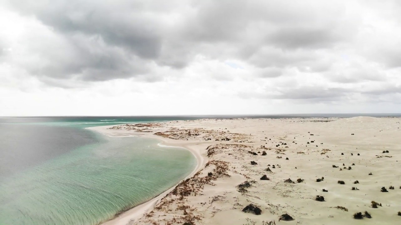 Ngati Kuri Bio Blits Te Hiku o te Ika Marae Te Hapua and Parengarenga Harbour