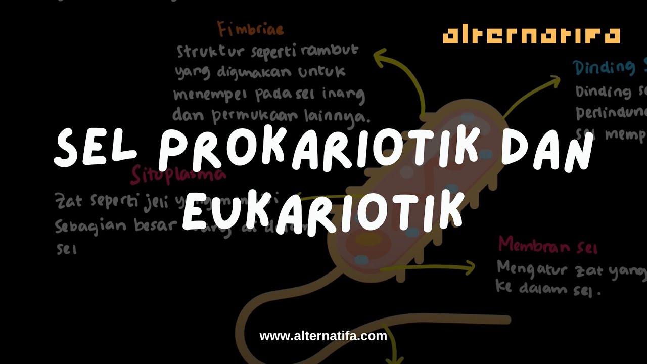 Sel: Prokariotik vs Sel Eukariot | Biologi | Alternatifa