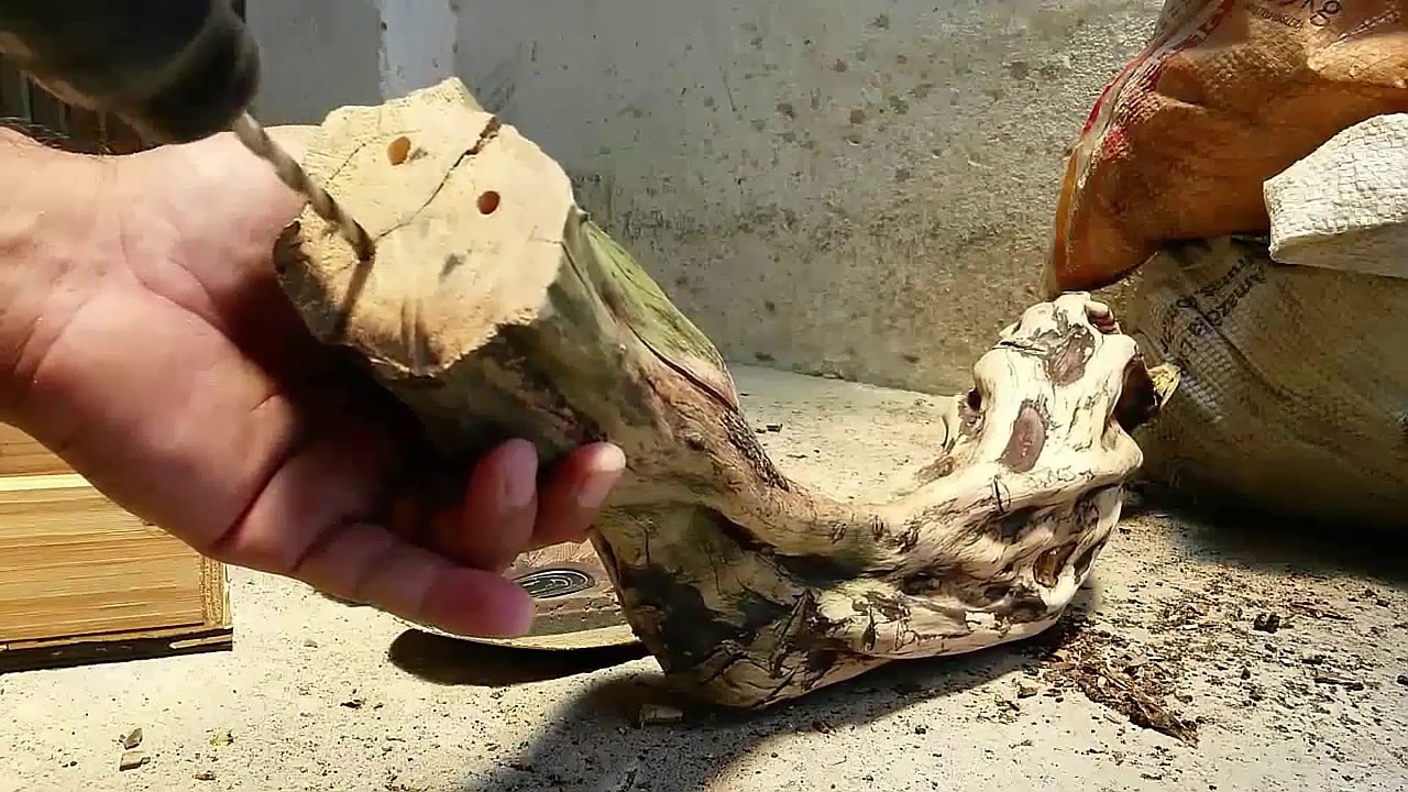 Suporte para plantas feito com tronco de árvore - Artesanato