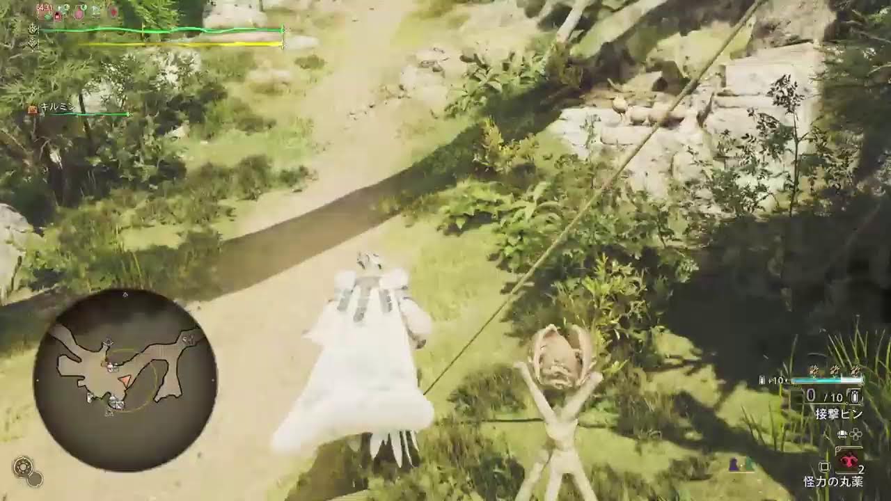 [MHWilds/PS5]　★10ゾ・シア火事場弓　リセット祭り　[モンハンワイルズ]