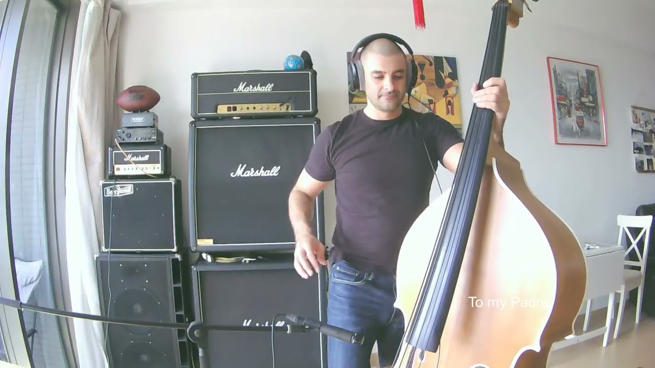 Darrel Higham & The Enforcers - Ice Cold (Double Bass Slap Cover)