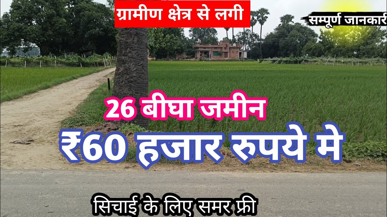 26.बीघा सस्ती जमीन बिकाऊ मात्र ₹60 हजार रुपये प्रति बीघा में agricultur land for sale