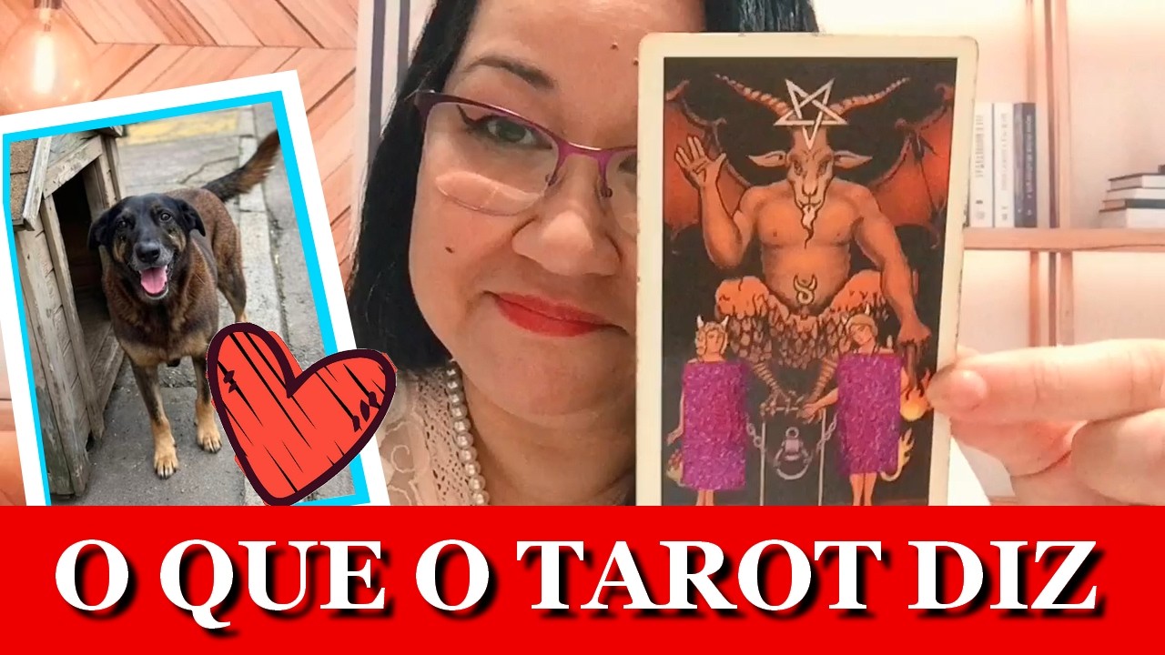 🔴O CÃO ORELHA :O QUE O TAROT PREVÊ PARA OS JOVENS QUE COMETERAM ESSA ATROCIDADE💥 #justicapeloorelha