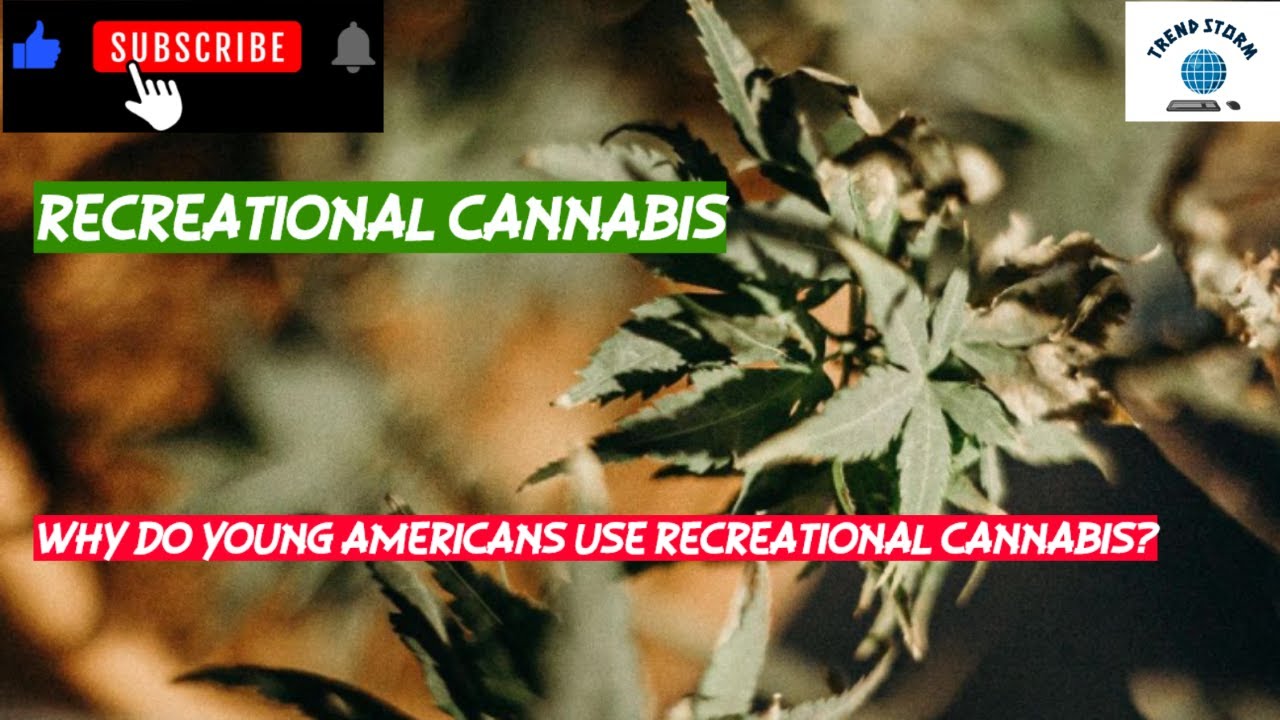Why Do Young Americans Use Recreational Cannabis?